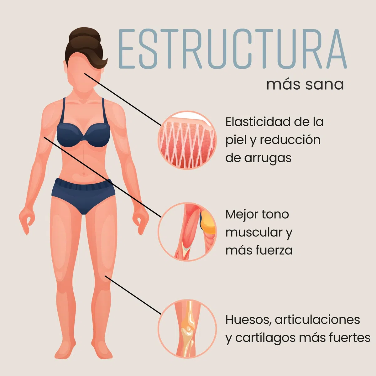 Colágeno Hidrolizado 500g | 50 Porciones | Péptidos de Colageno En Polvo Altamente Biodisponible Para Un Mejor Colageno Hidrolizado | Colágeno Sport Para Mujeres y Hombres | VitaBright
