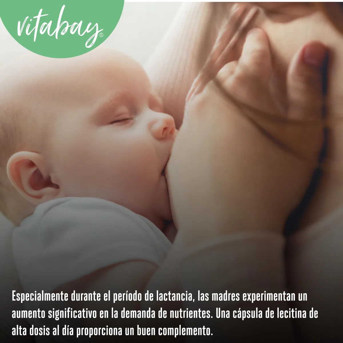 Vitabay Lecitina 1200 mg - 120 cápsulas blandas veganas - fosfatidilcolina de soja con vitamina E - sin gluten ni lactosa - sin OGM - analizado en laboratorio en Alemania - 4 meses
