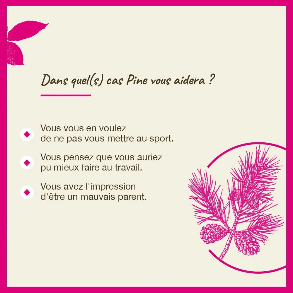 Fleurs de bach original n 24 pine - 20 ml
