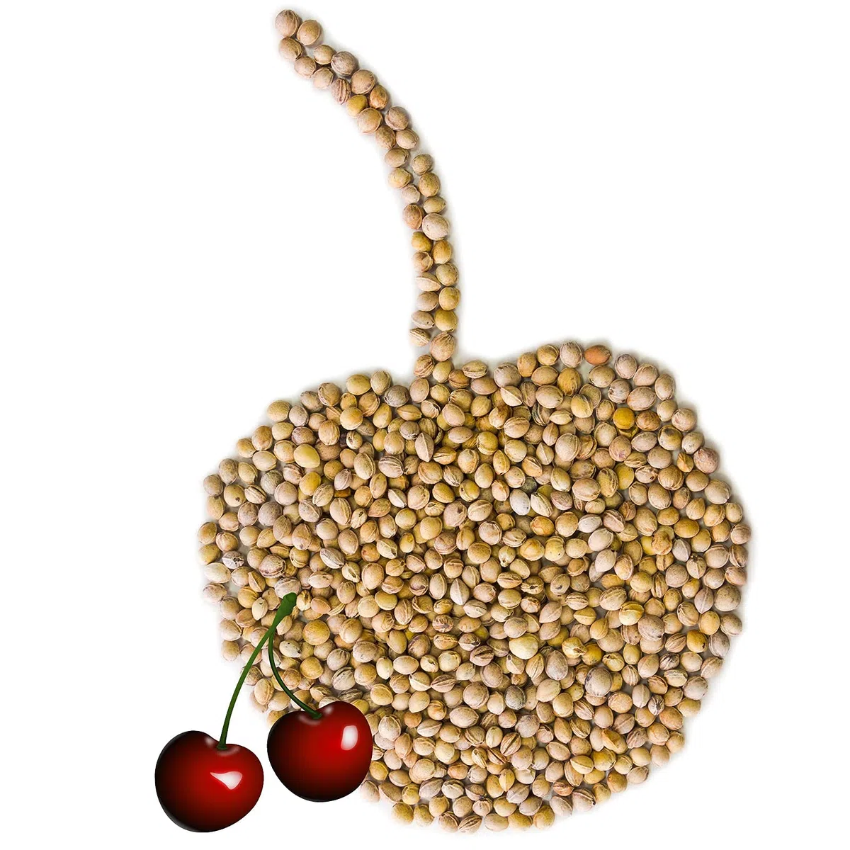 Eigenmarke - Huesos de cereza para relleno de cojín (5 kg)