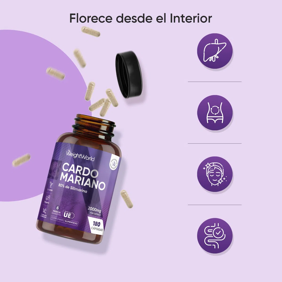 Cardo Mariano 2000mg - 180 Cápsulas, 80% de Silimarina del Extracto Natural de Cardo Mariano 40:1 - Suplemento de Milk Thistle para 6 Meses de Suministro - Apto para Veganos, Sin OGM