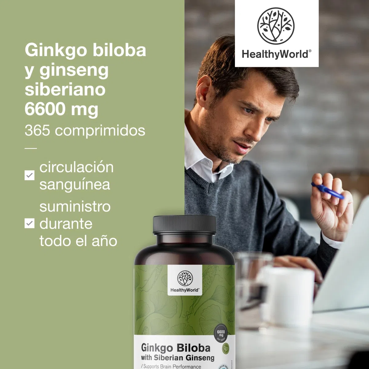 HealthyWorld Ginkgo Biloba con ginseng siberiano 6600 mg - Apoyo a la función cognitiva - 365 comprimidos para un suministro de 1 año - Extracto de Ginkgo 50:1 (120 mg) y 10:1 (60 mg)