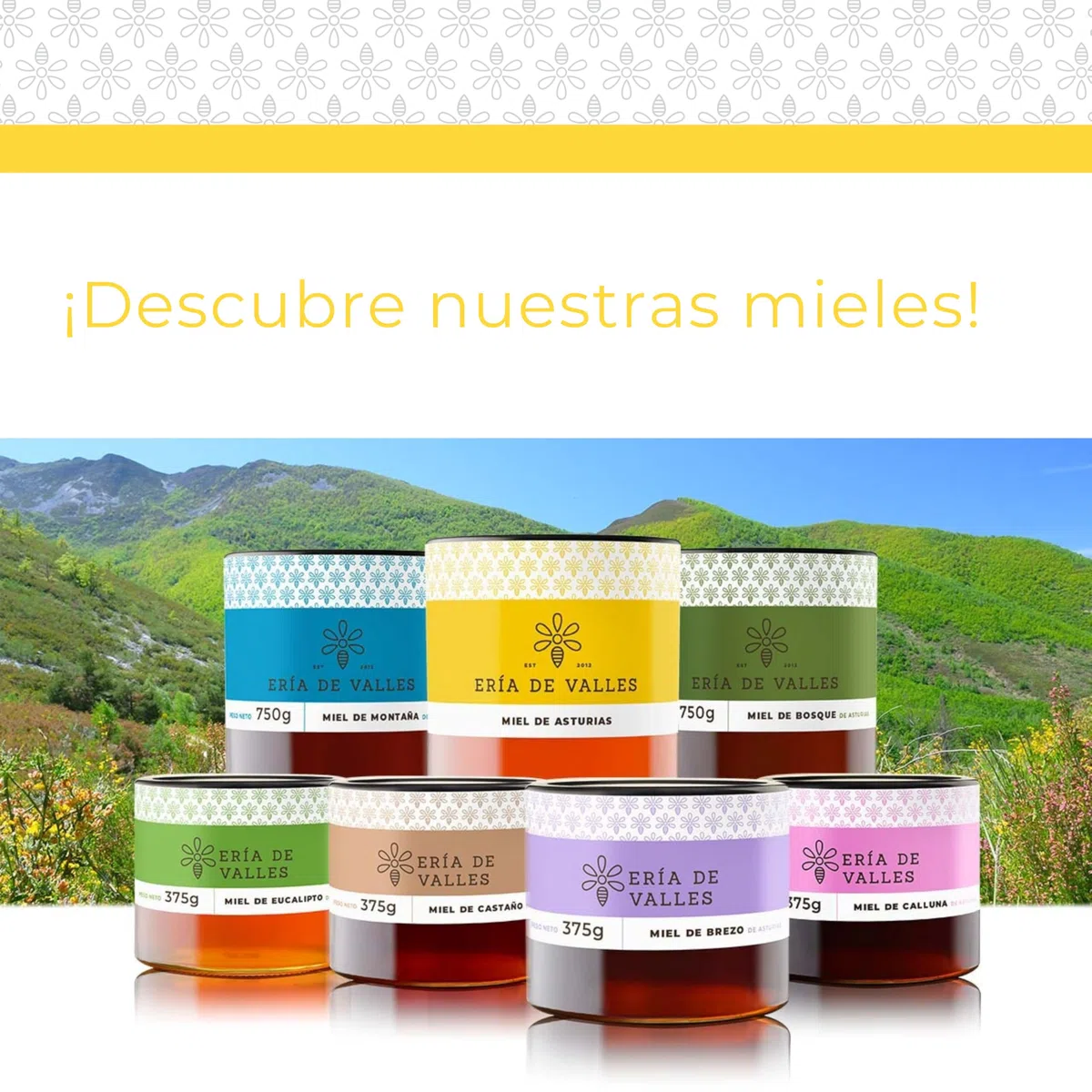 Ería de Valles – Extracto de Propóleo de Asturias 30 ml – Fórmula Tradicional con Propiedades Naturales – Uso Oral Diluido – Producción Artesanal