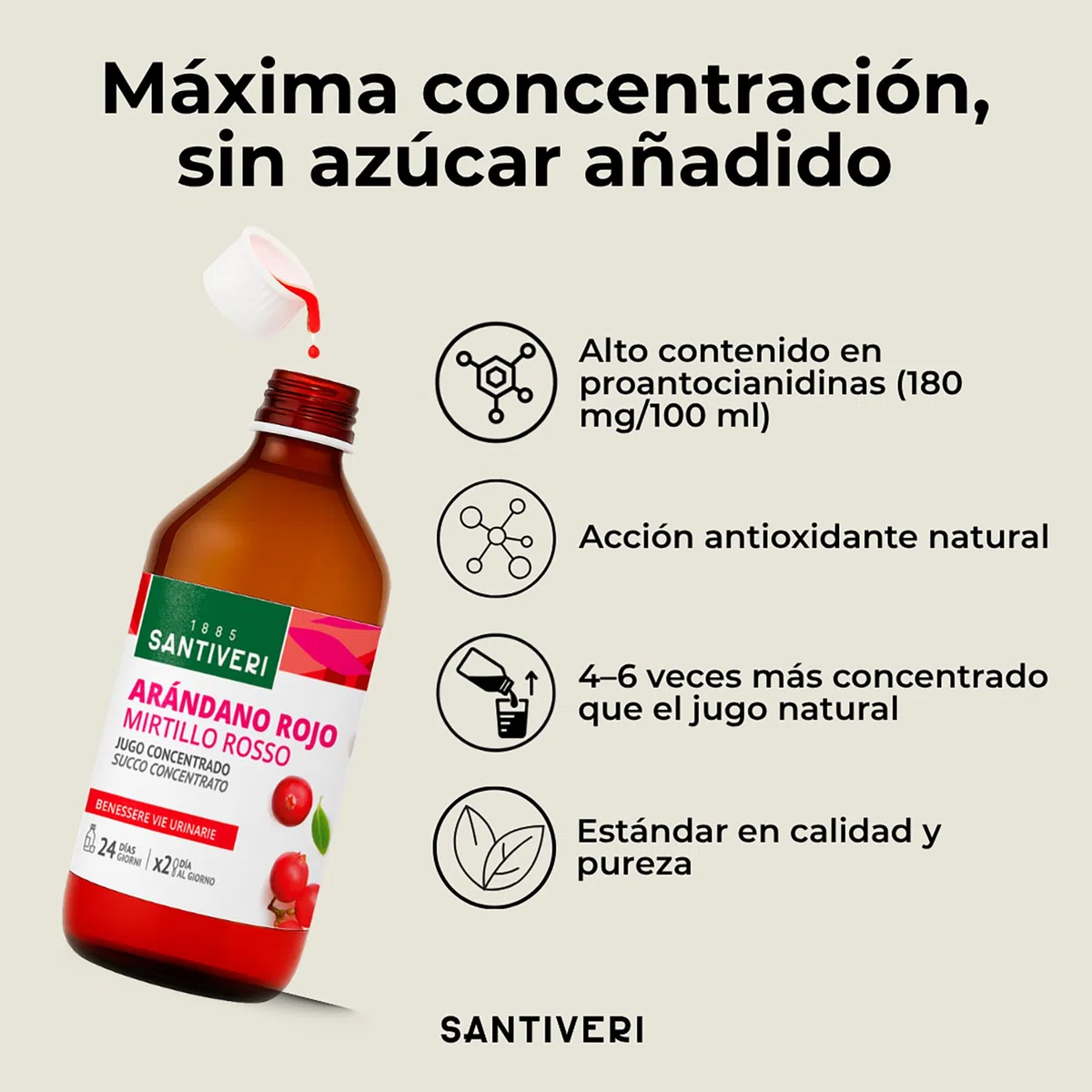 SANTIVERI - Concentrado de Arándano Rojo con Alto Contenido en Proantocianidinas 180mg/100ml, Sin Azúcar - Frasco de 490 ml