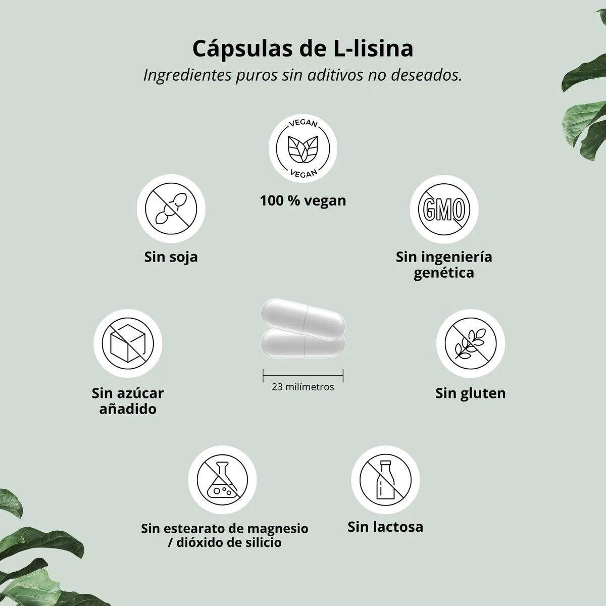 nutri + L-Lisina Cápsulas altas dosis + vegano - 2200mg por porción diaria - testado en laboratorio - 120 Caps 550mg cada una - bloque constructor de colágeno y tejido conectivo