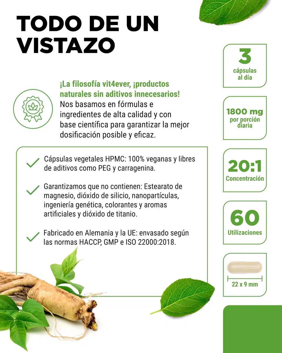 Ginseng rojo Panax 180 cápsulas - 1800 mg por dosis diaria - 20% de ginsenósidos - Extracto de raíz de ginseng rojo coreano 20:1 - Alta dosis - Vegano