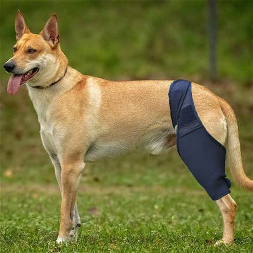 Rodillera Para Perros, Vendaje Para Rodilla, Ayuda Para Recuperación De Mascotas En Caso De Rotura Del Ligamento Cruzado Anterior (lca), Luxación Rotuliana, Displasia De Piernas Y Osteoartritis.
