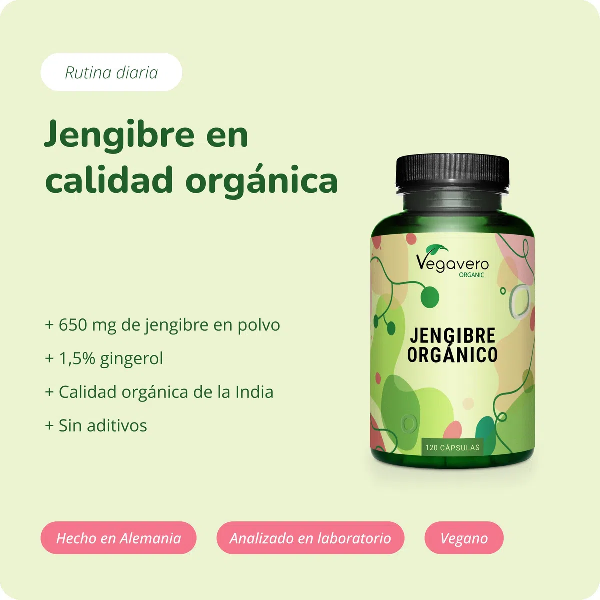 Jengibre BIO | Ginger ORGÁNICO | 120 Cápsulas | 650 mg por Cápsula | Náusea + Digestión + Dolor Menstrual | Sin Aditivos | Vegavero