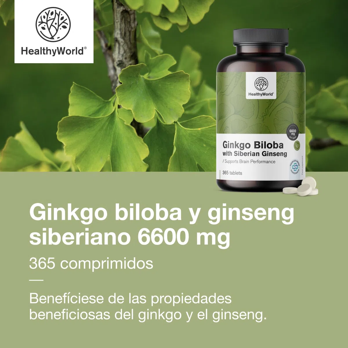HealthyWorld Ginkgo Biloba con ginseng siberiano 6600 mg - Apoyo a la función cognitiva - 365 comprimidos para un suministro de 1 año - Extracto de Ginkgo 50:1 (120 mg) y 10:1 (60 mg)