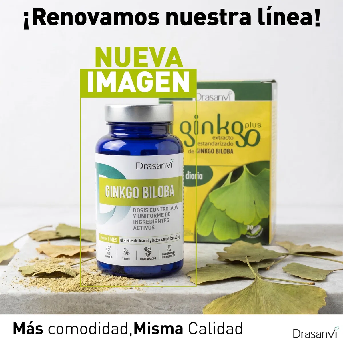 Ginkgo Biloba 30 Cápsulas Drasanvi | Extracto Estandarizado Alta Concentración | Apoyo a la Memoria, Concentración y Circulación | 1 Cápsula Diaria | Suplemento Natural