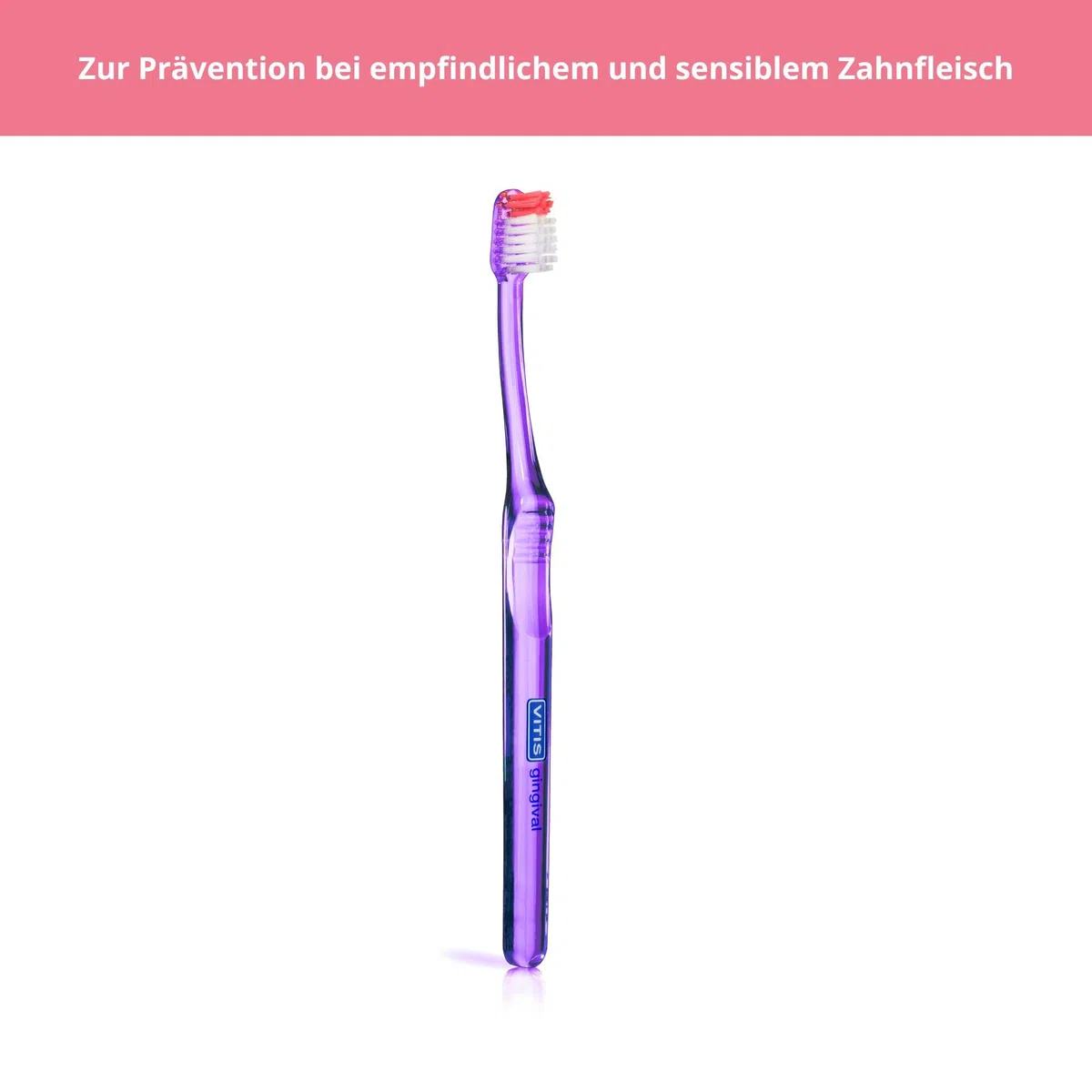 VITIS Kit de cuidado dental antimanchas – Pasta de dientes antimanchas + cepillo de dientes gingival – para el cuidado bucal diario