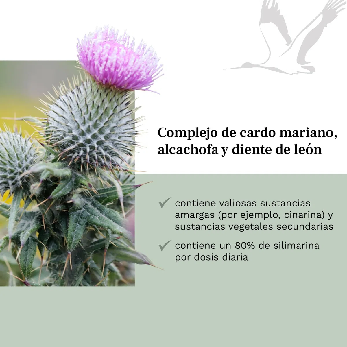 Balanced Vitality cardo mariano, Artichoke, Dandelion Complex-120 cápsulas veganas para 4 meses - con 80% de silimarina - sin aditivos - testado en laboratorio - Made in Germany